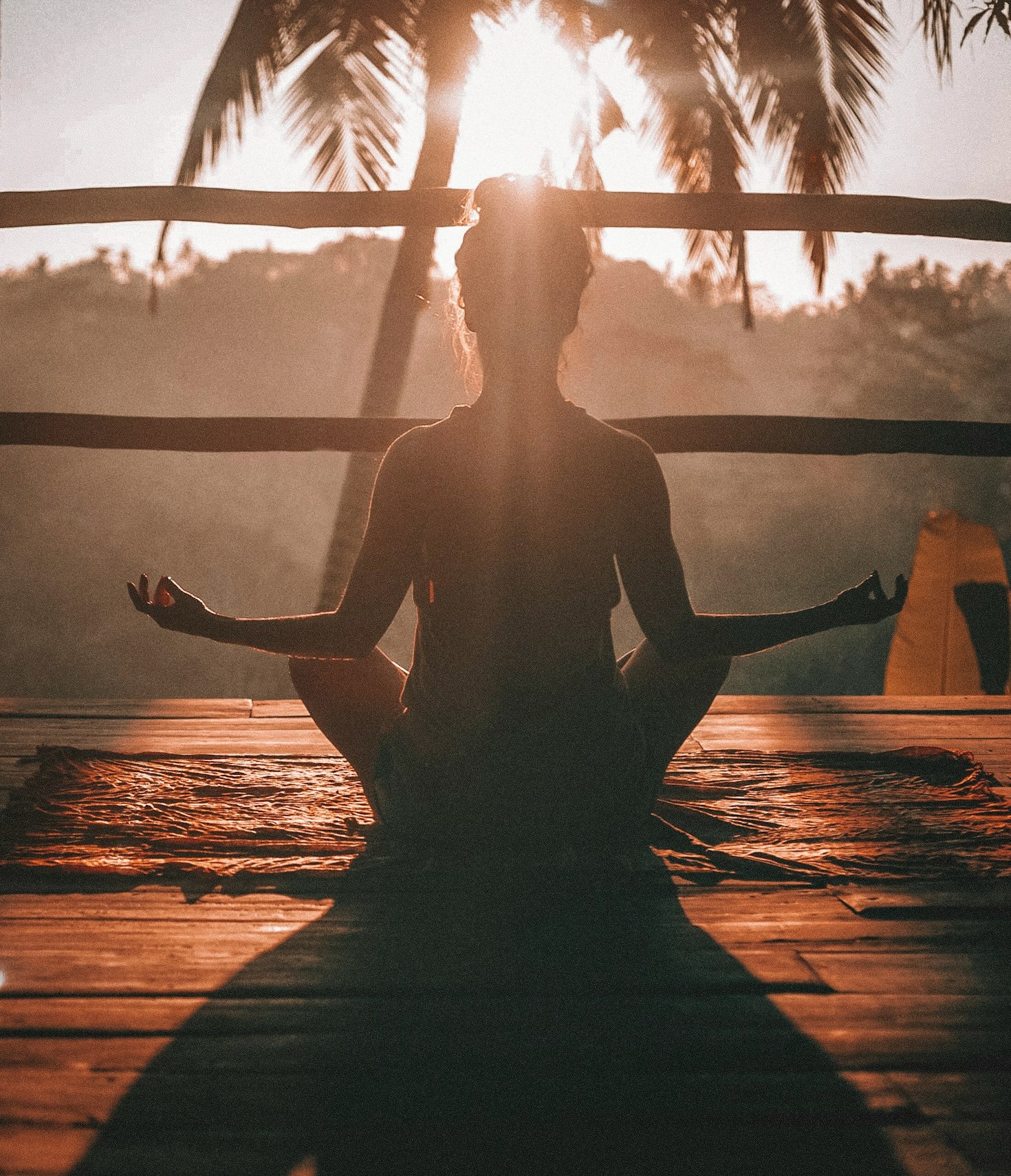 5 Steps to Begin Your Holistic Wellness Journey